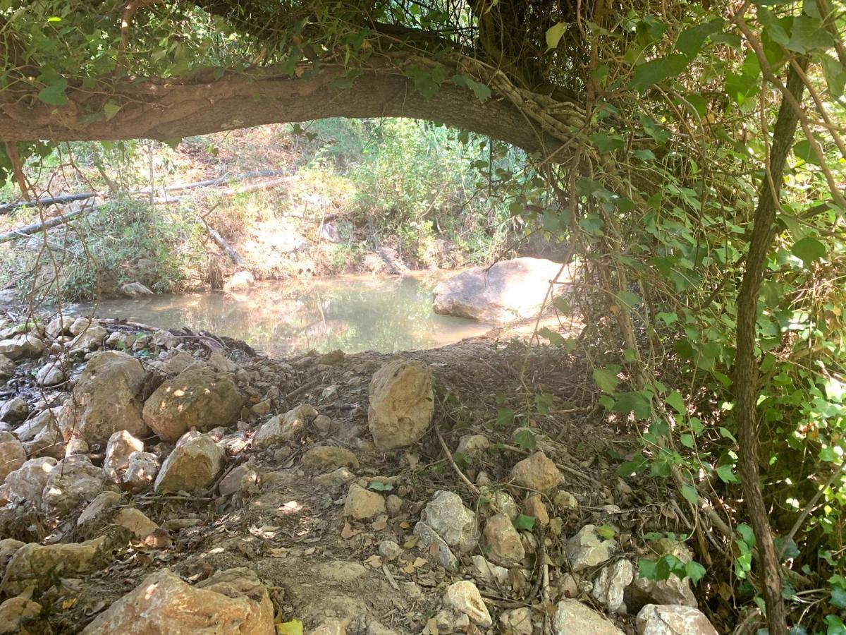 La Cabieda - Junto Al Río Cañamares - Ideal Grupos Y Familias *