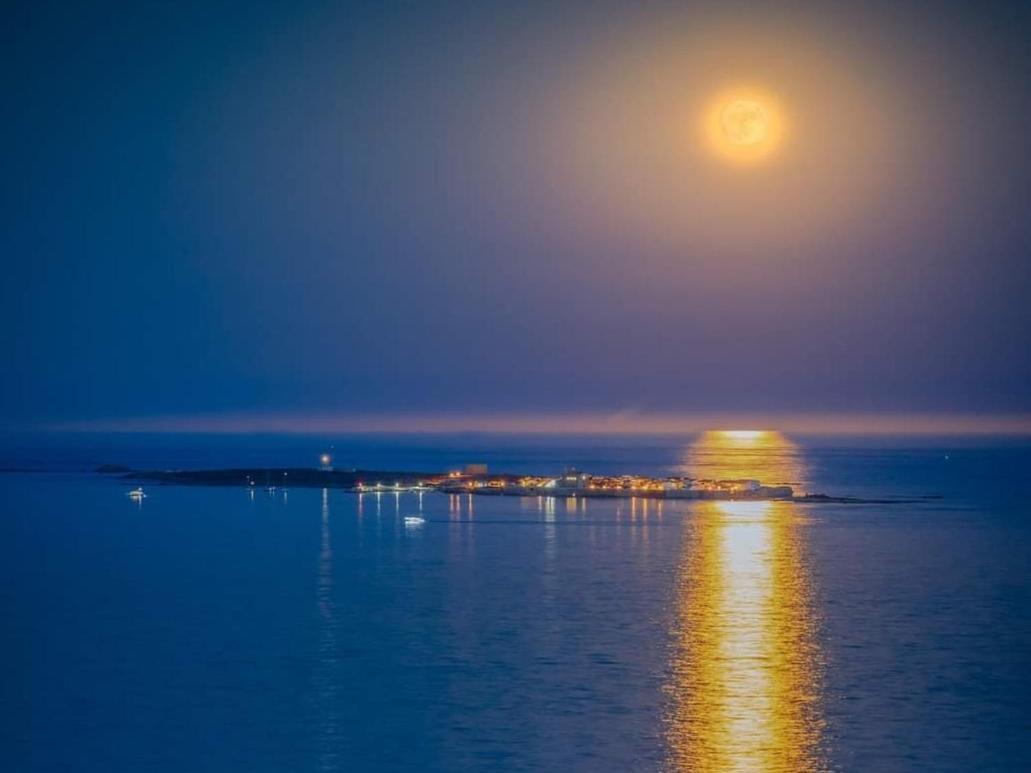 Espectacular En La Isla De Apartamento