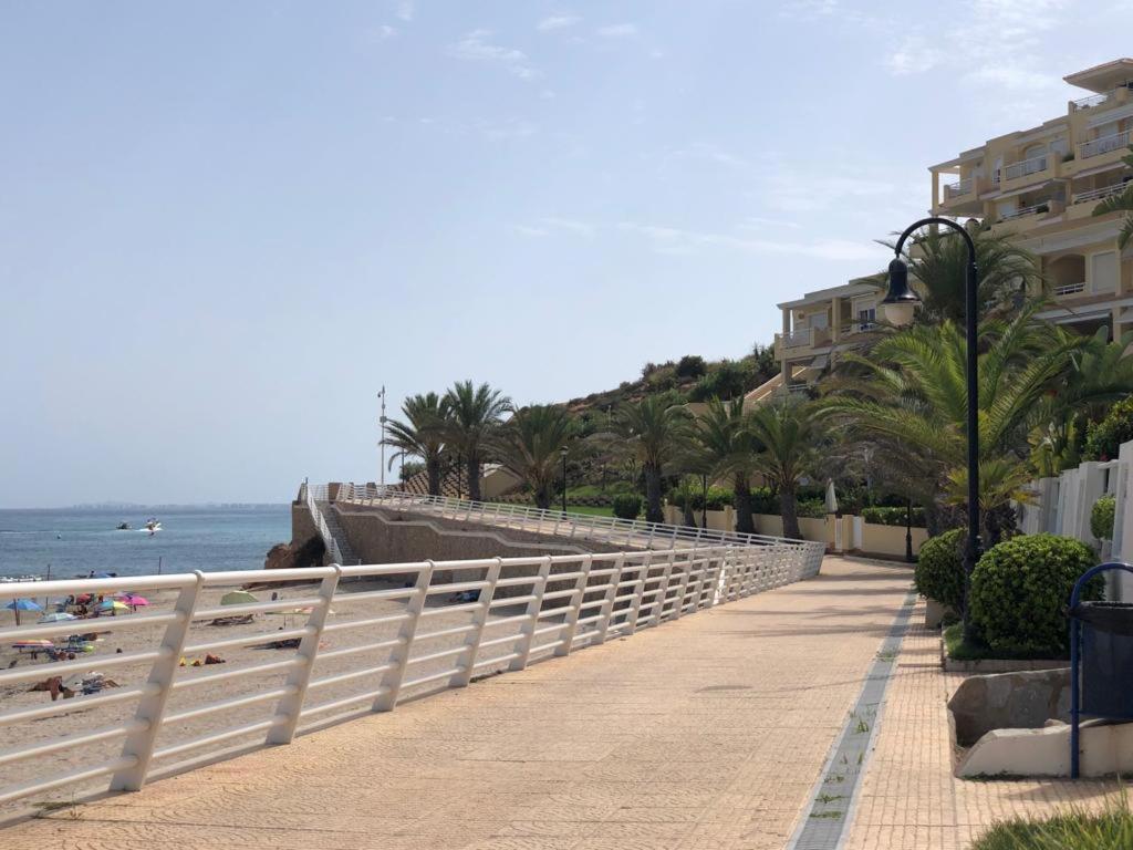 Dom Amaia * Orihuela
