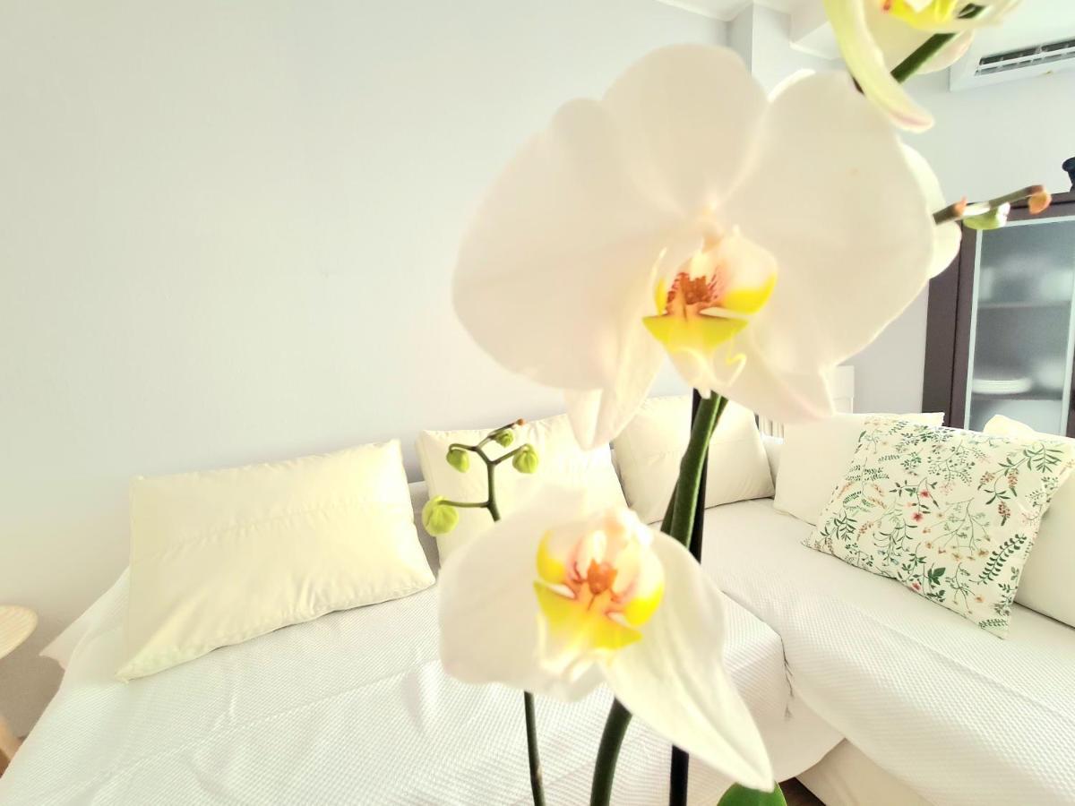 Apartamento Aa Guest - El Mono De Eco