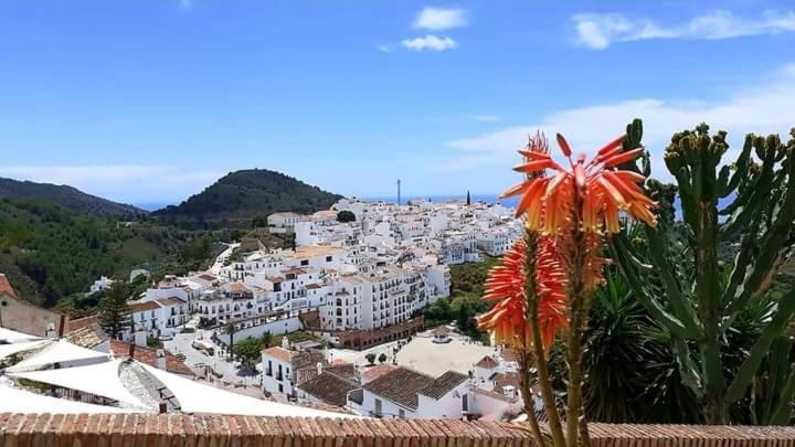 Del Sol Apartamento Frigiliana