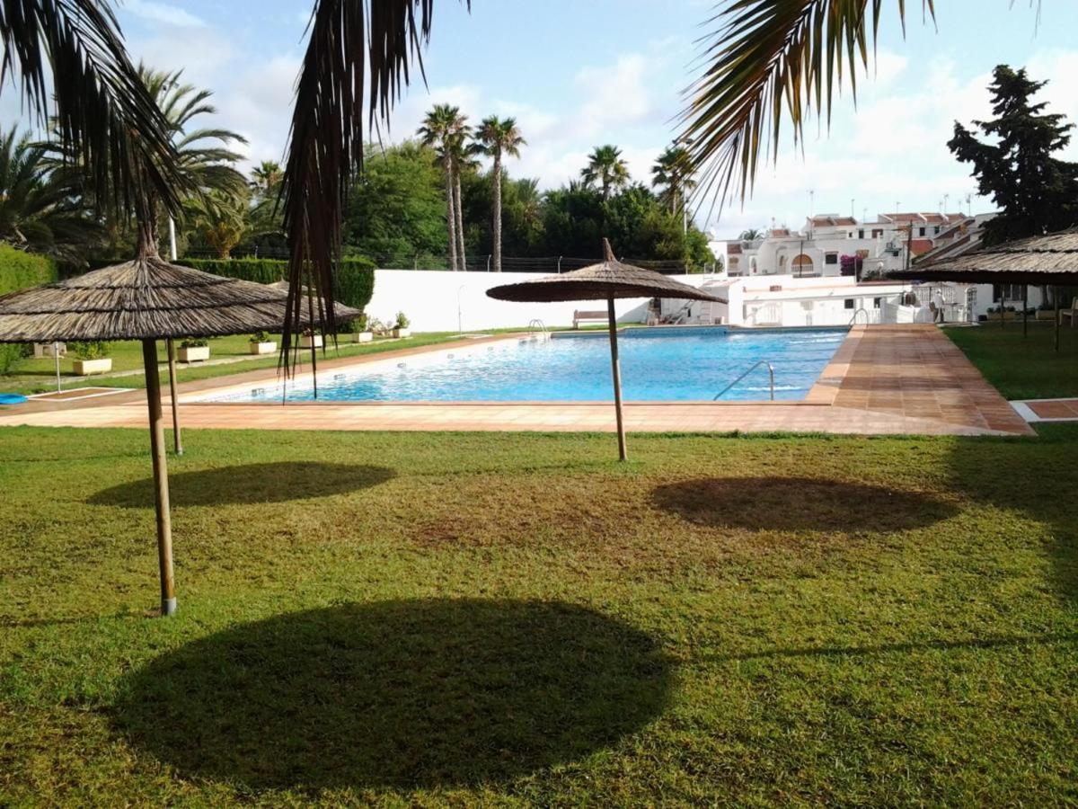 Apartment Lovely 1bedroom Renewed With 3 Pools