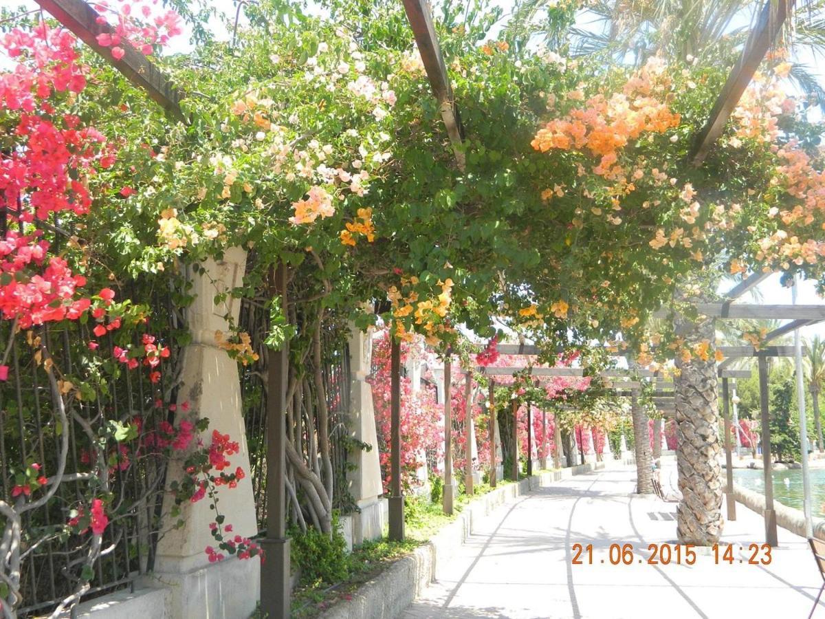 Lovely 1bedroom Renewed With 3 Pools Apartment Torrevieja