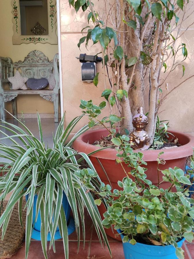 Cool Garden And * Mairena del Aljarafe