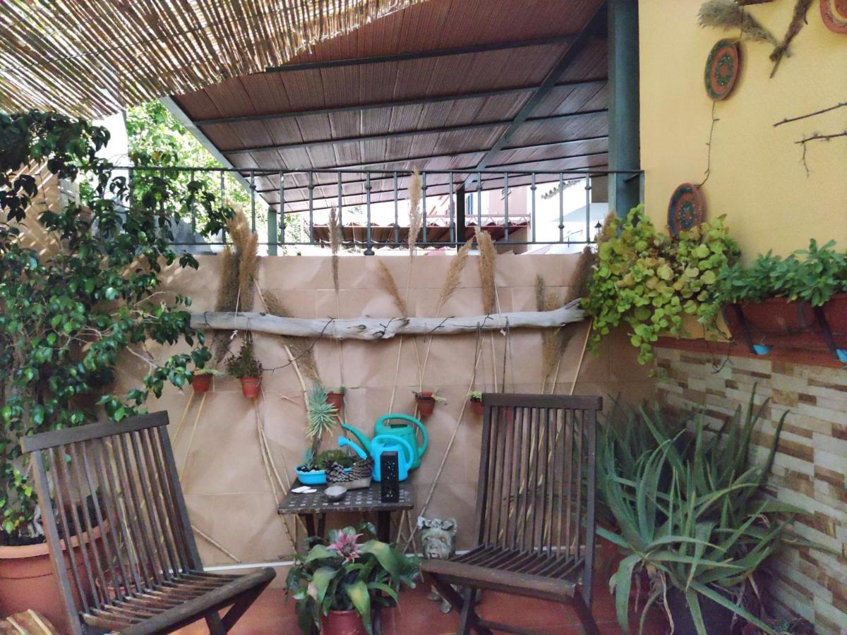 Cool Garden And