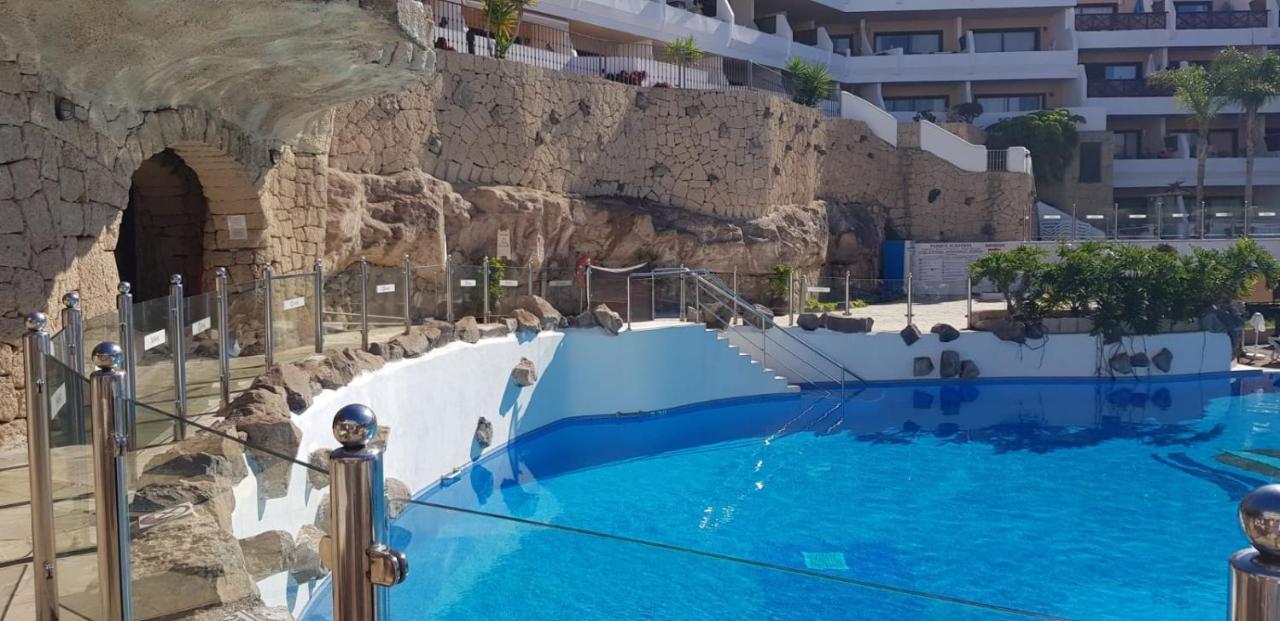 Amarilla-parque Albatros San Miguel de Abona
