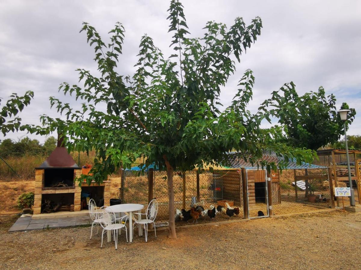 Luxury tent Tipi Rural La Secuita