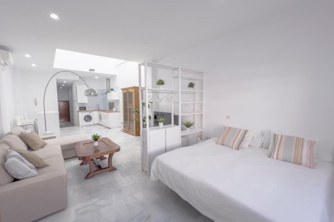 Loft Super Luminoso En El Centro Del Puerto De Santa Maria. Apartment El Puerto de Santa Maria