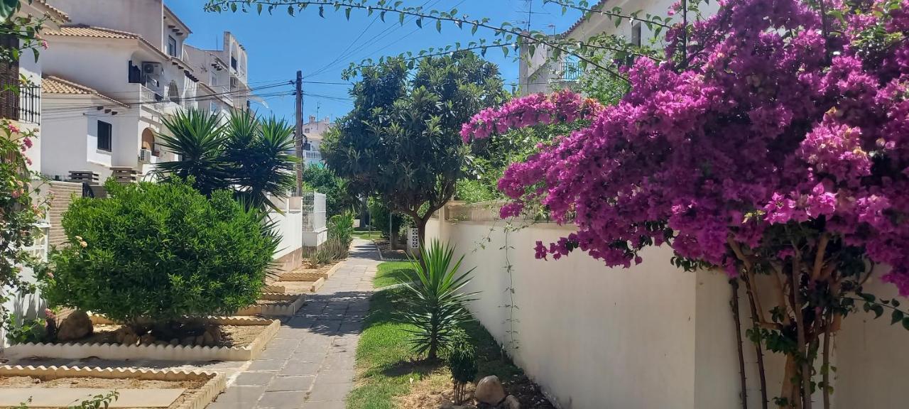 Apartment Lovely 1bedroom Renewed With 3 Pools *