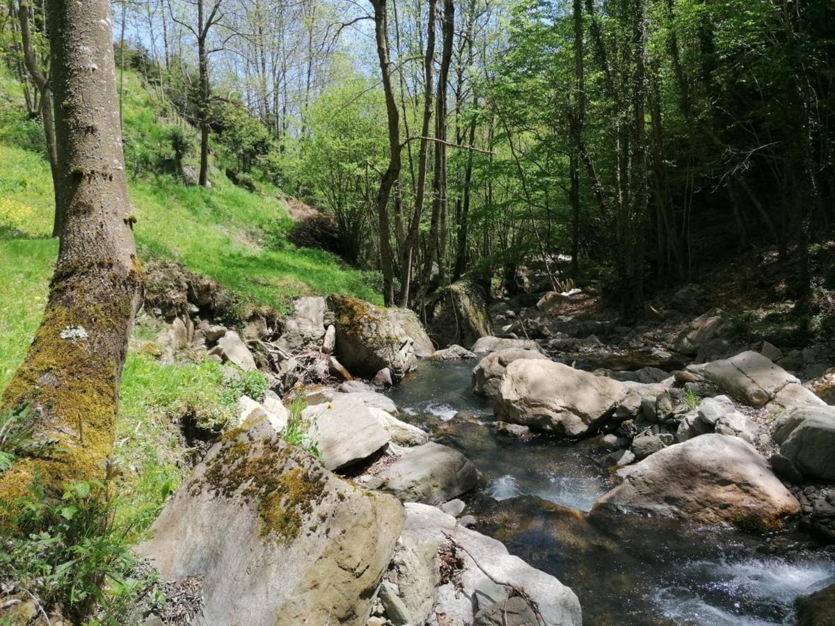 Les Pedres Camprodon