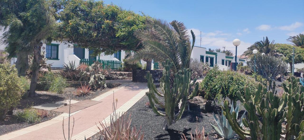 Casa Alice Cocosol *