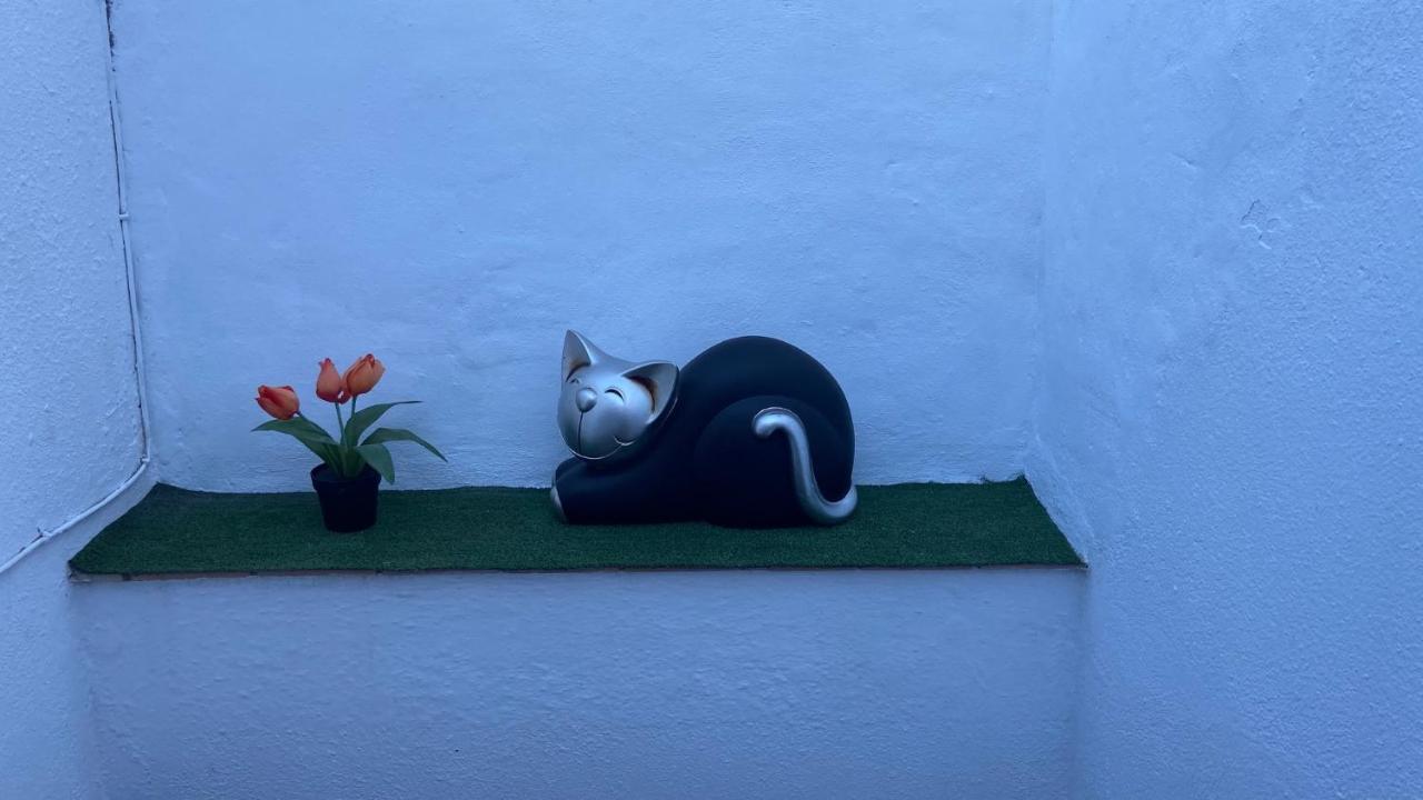 Hope's Atico-apartamento