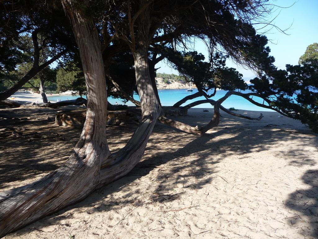 Yebisah Guest house Santa Eularia des Riu
