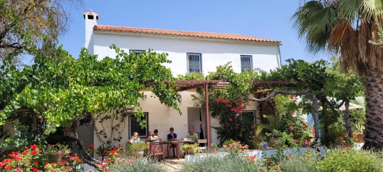 Meleros Andalucian Set In Its Own Land With Beautiful Terraces, Garden & Pool. * Olvera