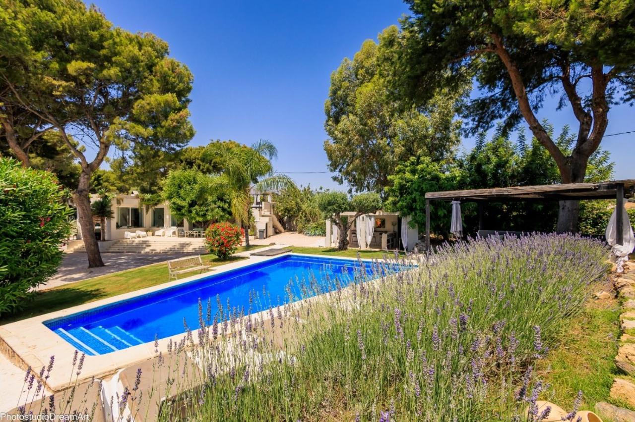 Villa Mimar L *