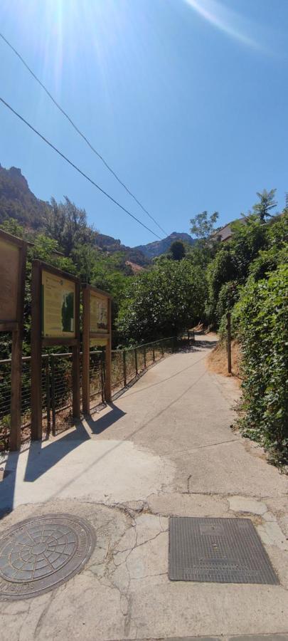 Yolanda Apartamento *