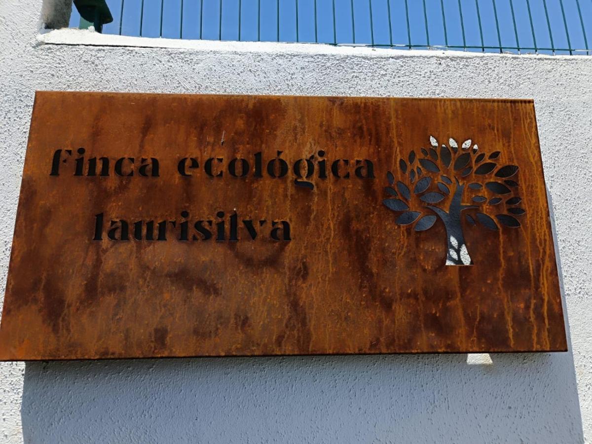 Villa Finca Ecológica Laurisilva *
