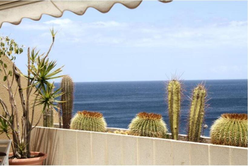 Apartamento Frente Al Mar Radazul