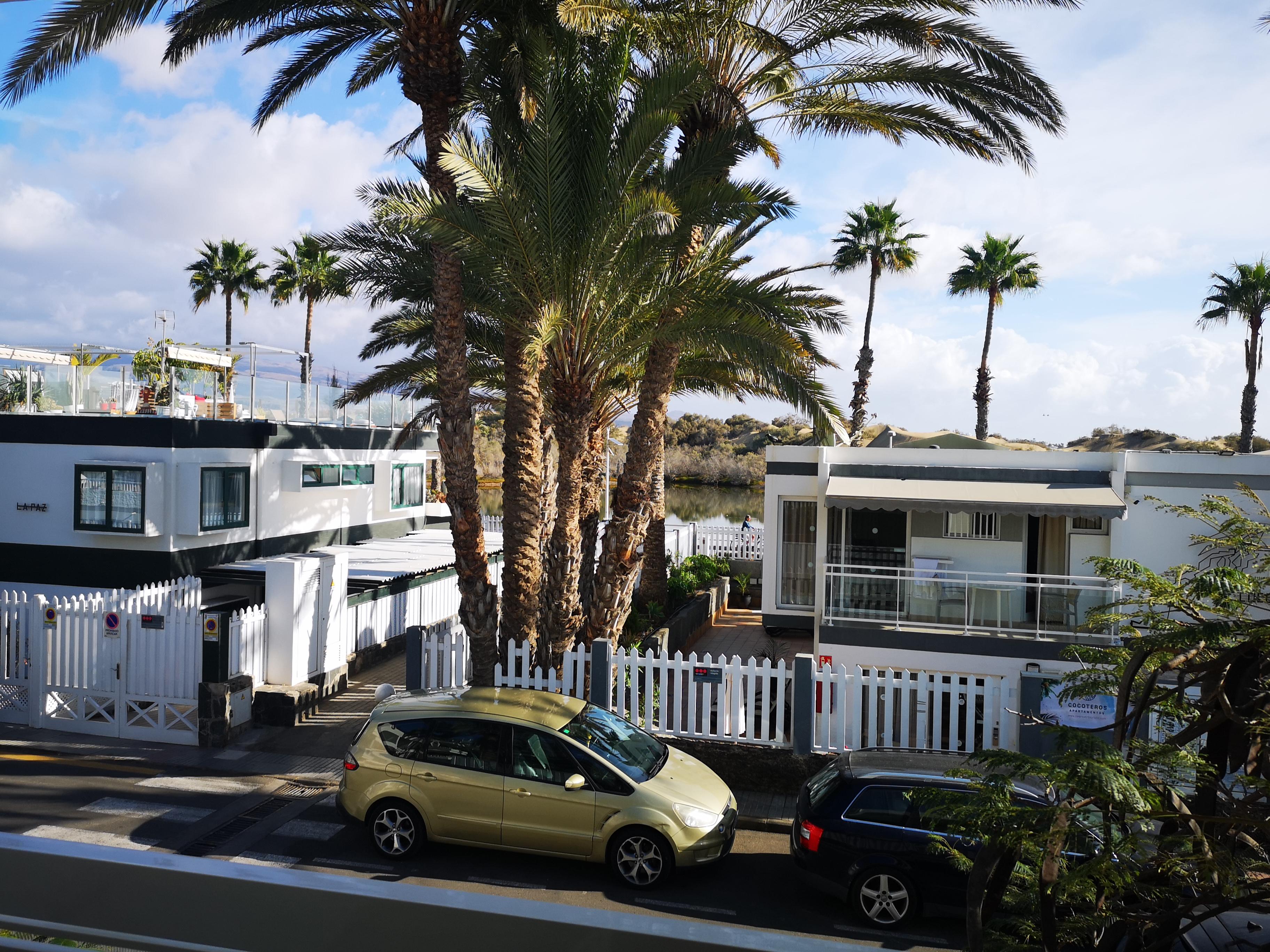 Cocoteros - Tamara Maspalomas (Gran Canaria)
