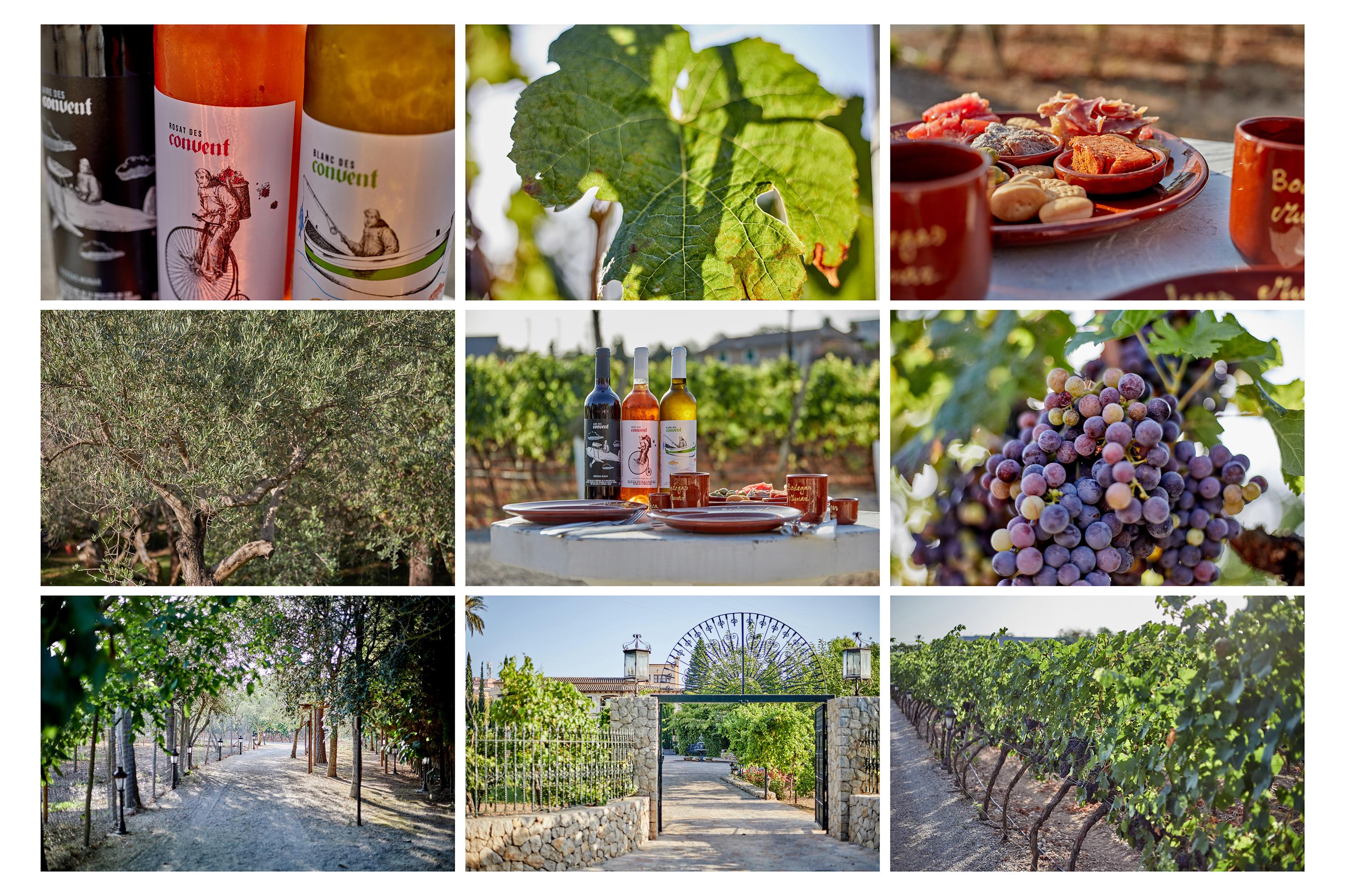 Farm stay Agroturismo Sa Vinya Des Convent Inca (Mallorca)