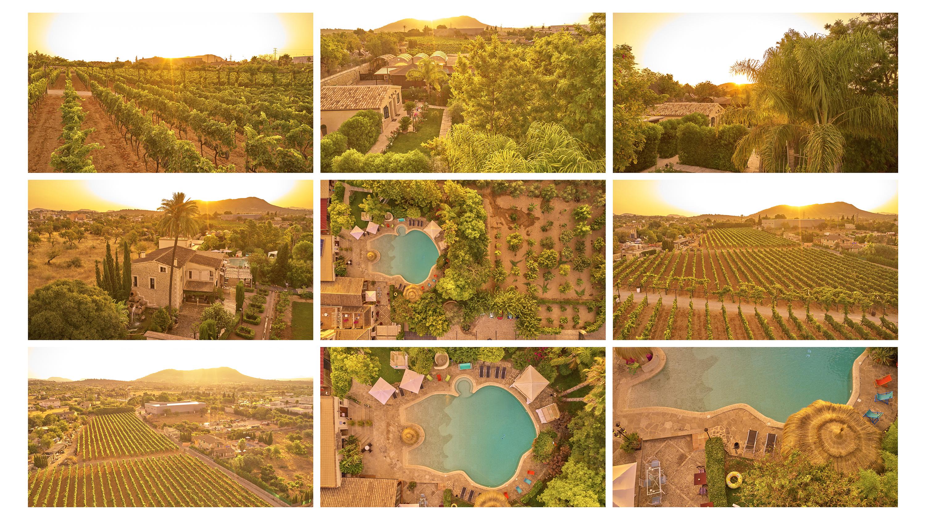 Agroturismo Sa Vinya Des Convent Farm stay
