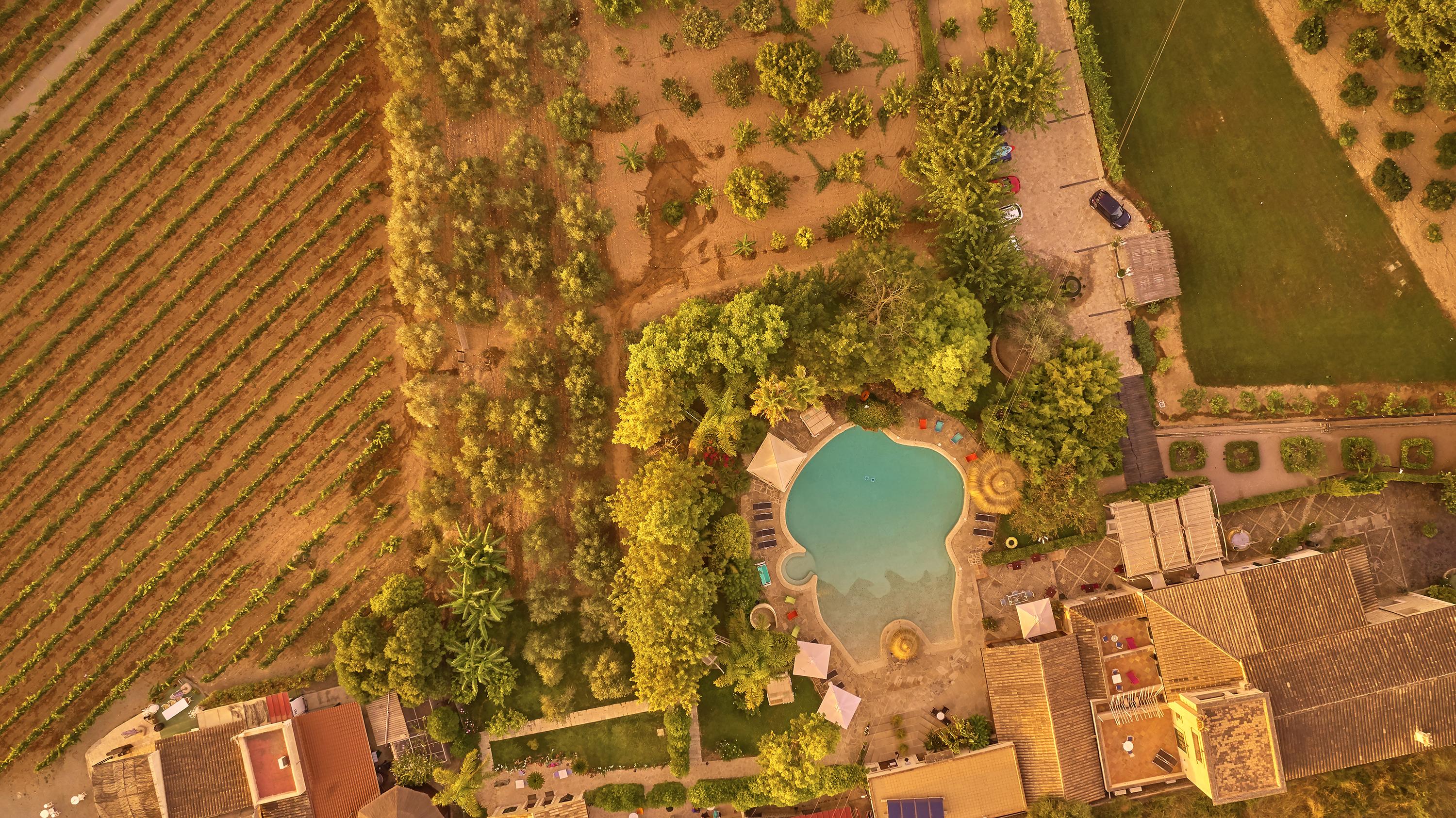Agroturismo Sa Vinya Des Convent *