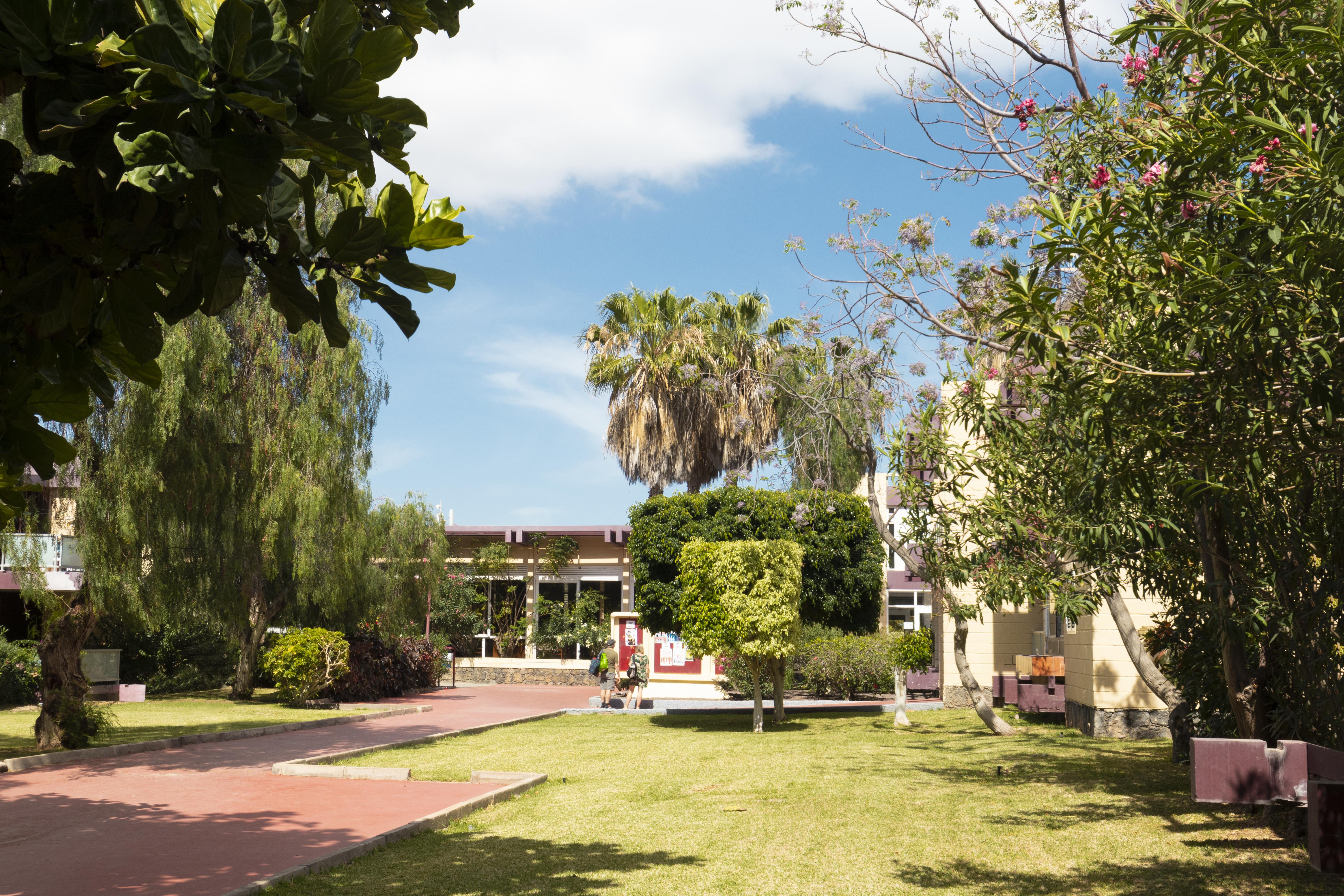 Palia Don Pedro Hotel 3*