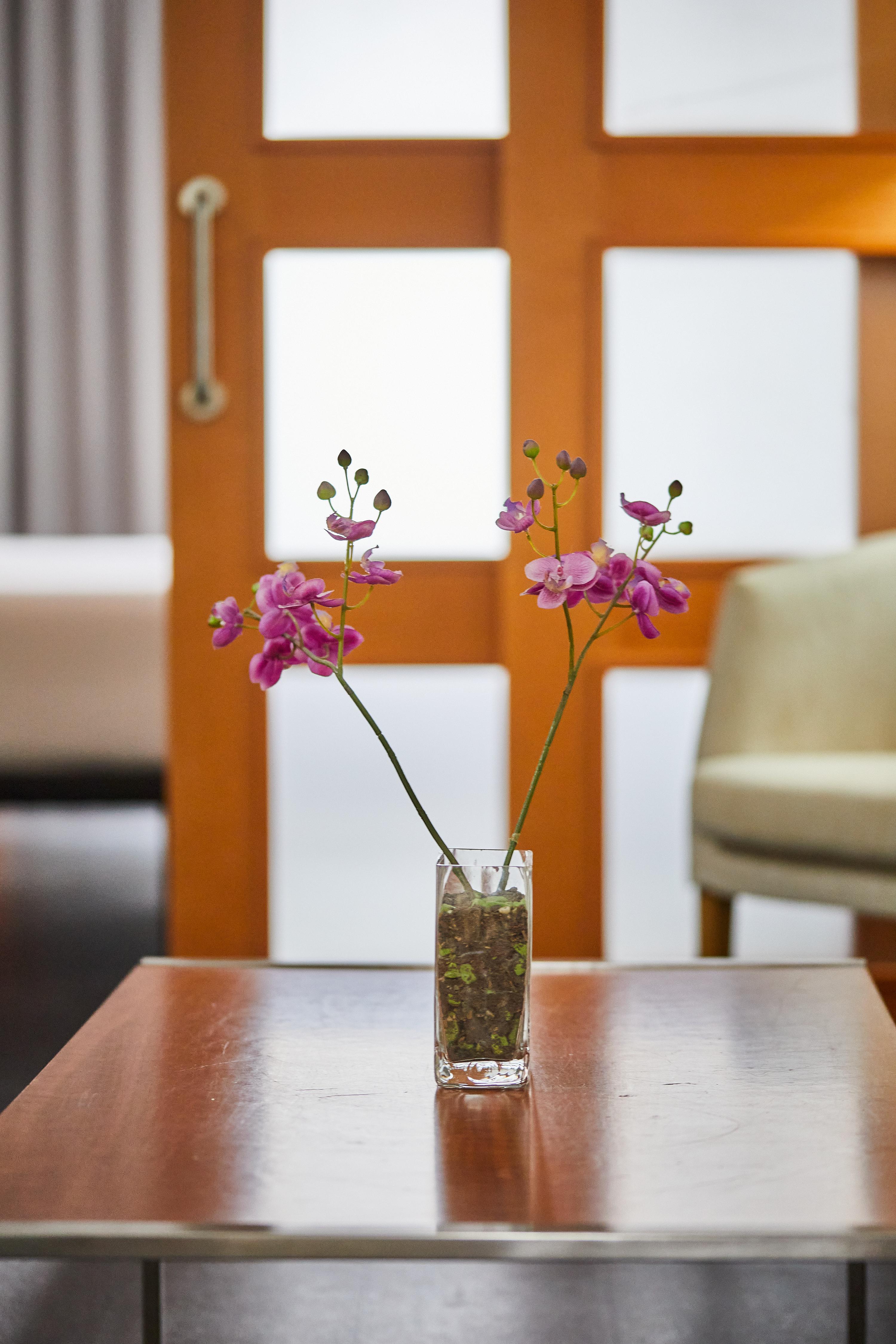 Hotel Silken Atlántida Santa Cruz Santa Cruz de Tenerife