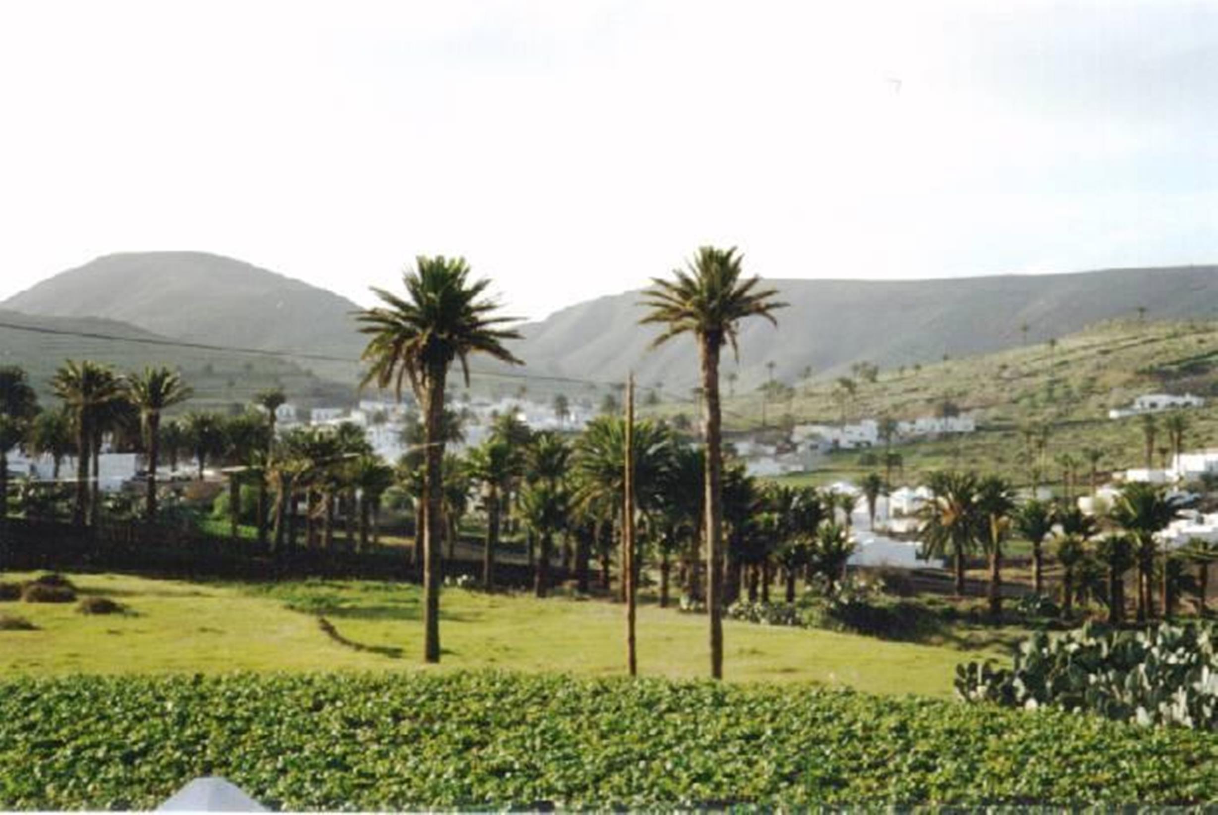 Apartamento Celeste Costa Teguise