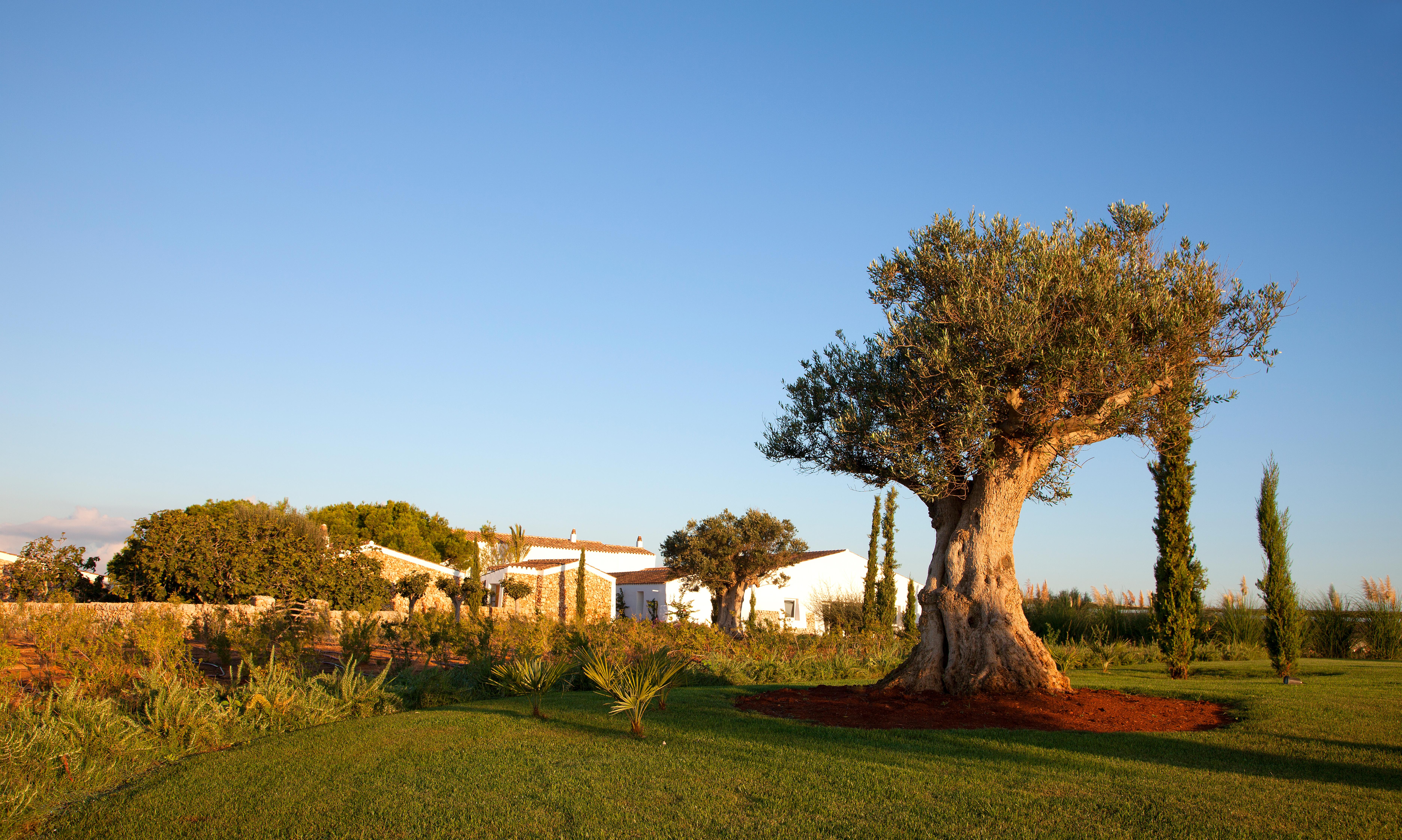 Hotel Torralbenc, A Small Luxury Of The World 5*