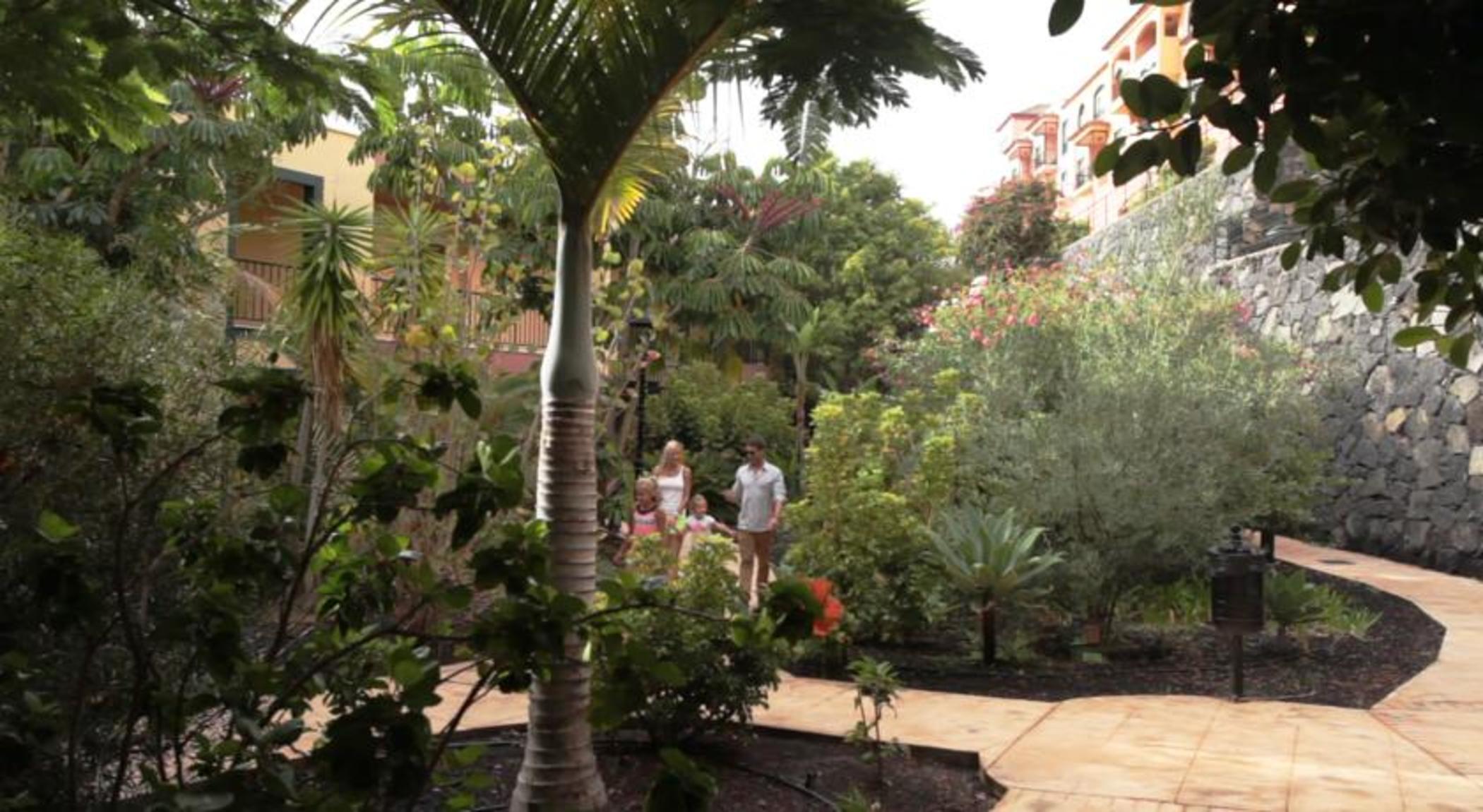 Apartment Olas