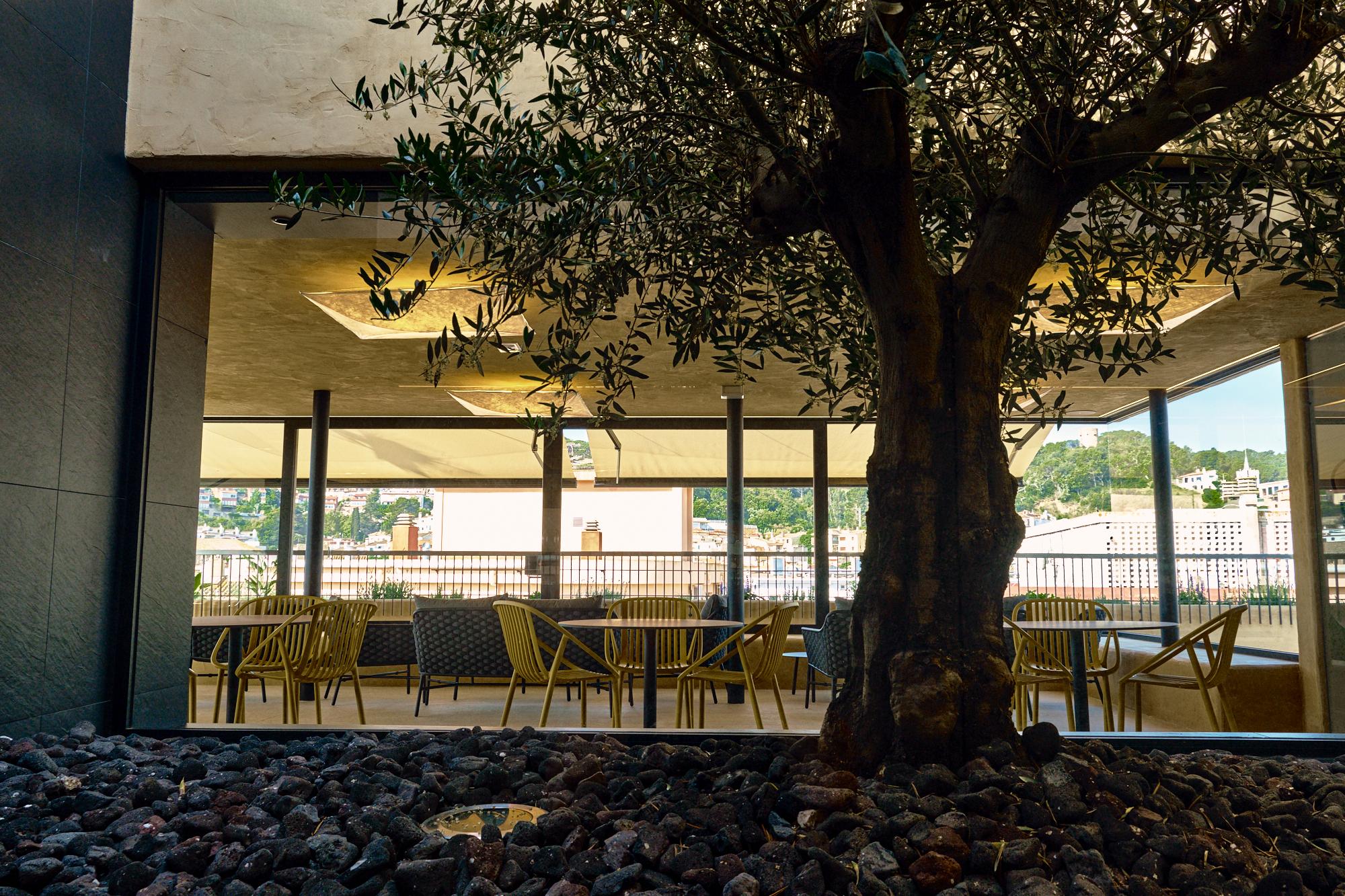 Delfín Hotel 4*