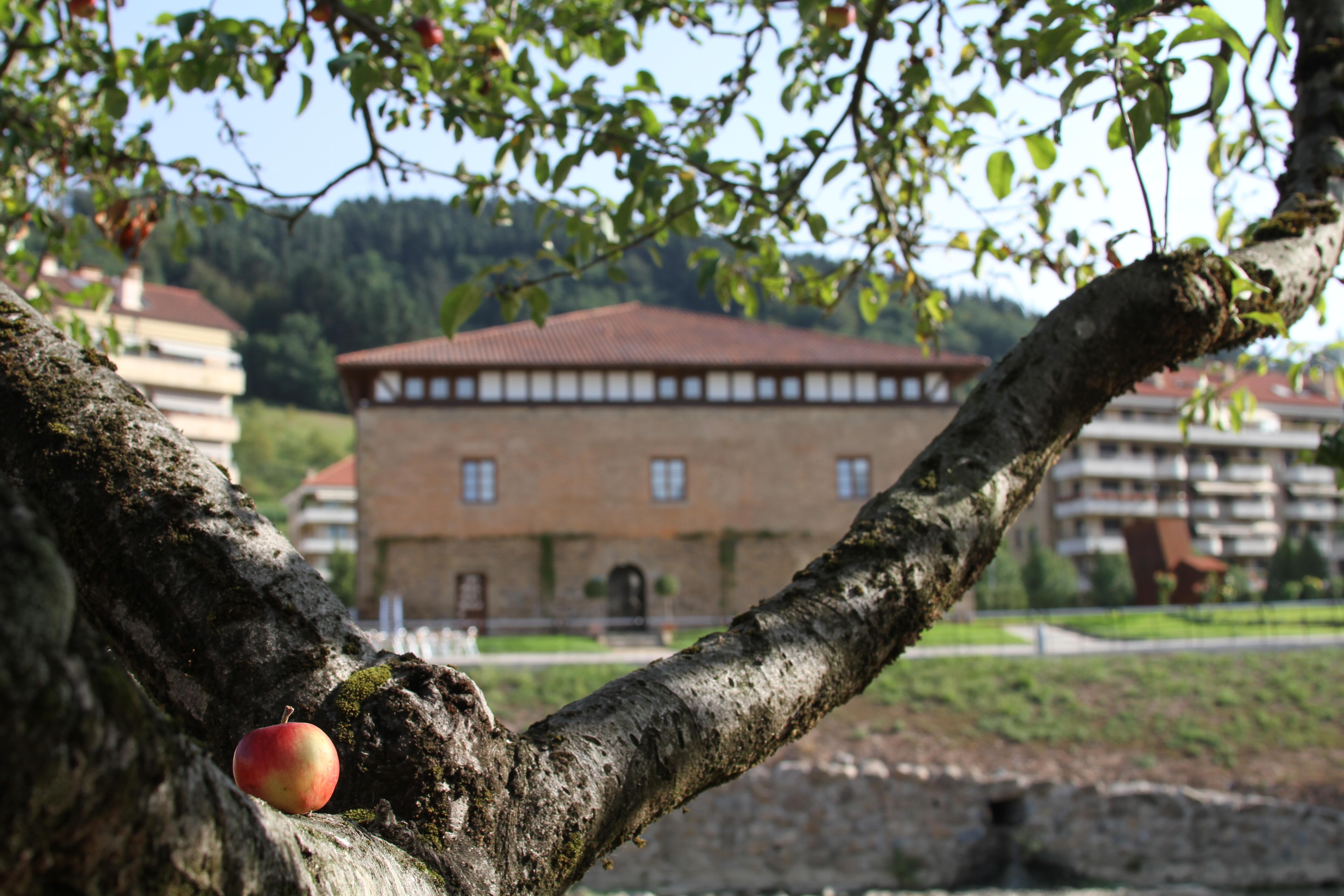 Dolarea Hotel 4*