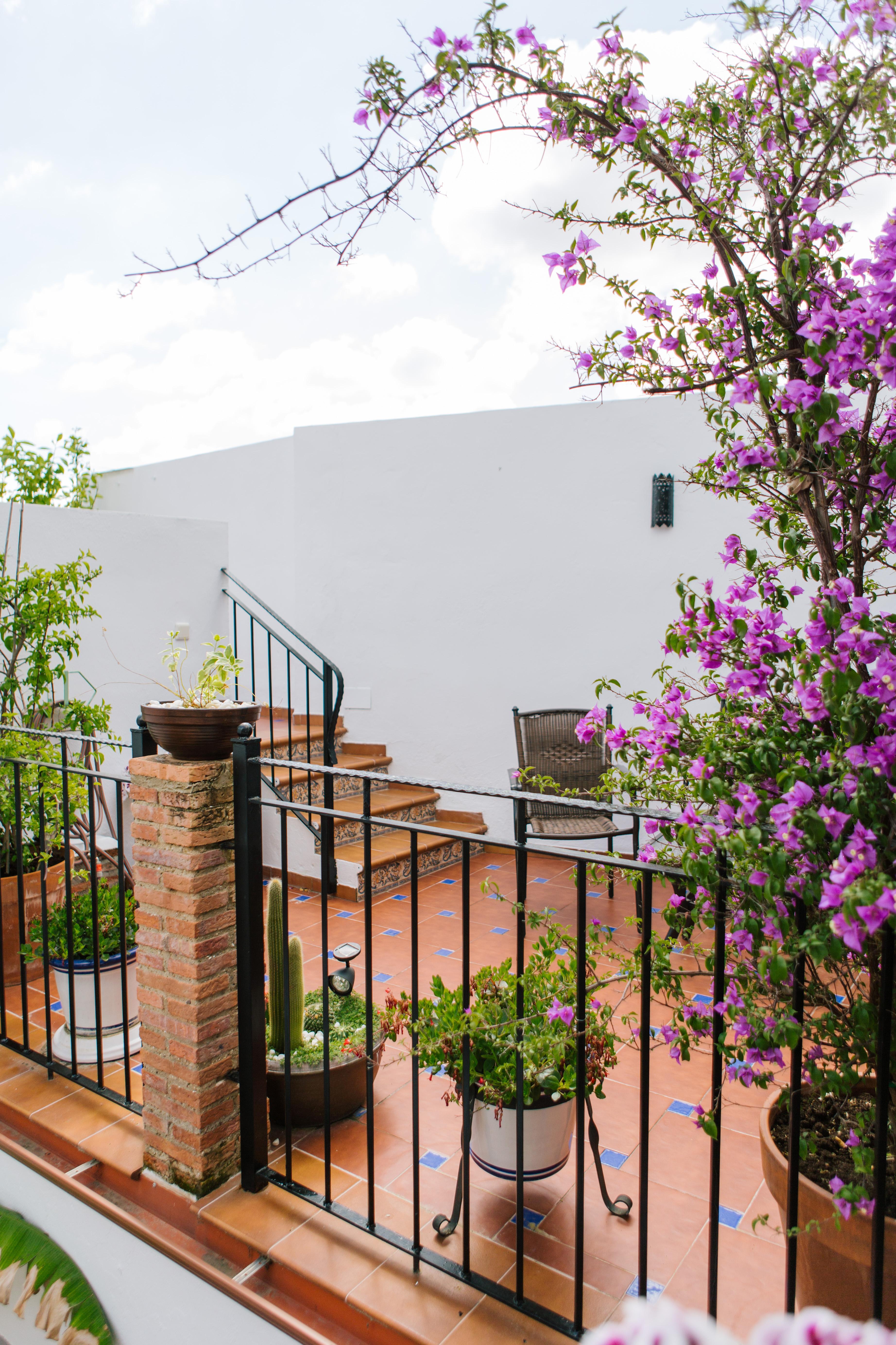 Al-mudawar Bed and breakfast 3*