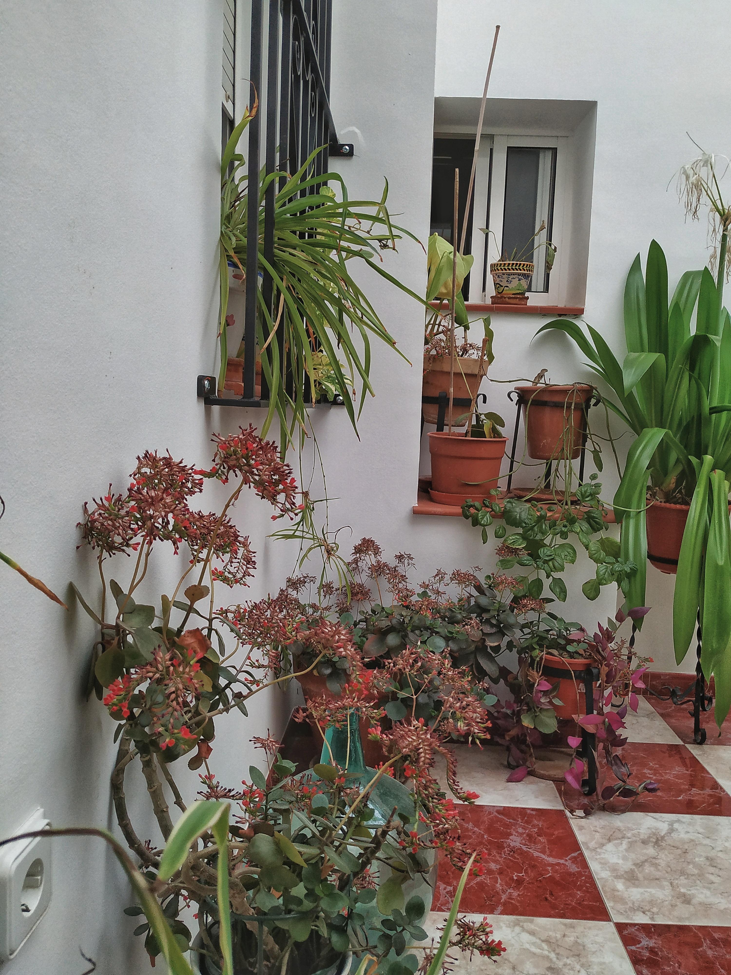 Hotel El Molino 2*