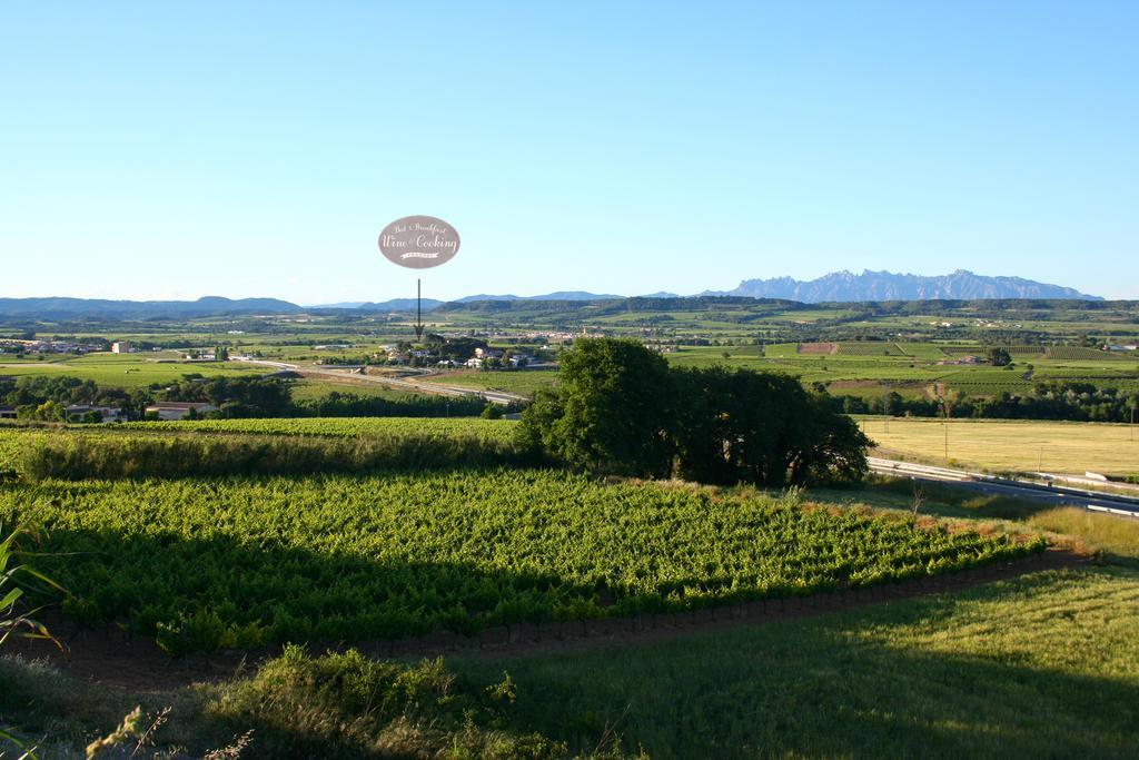 Wine & Cooking Penedes Bed & Breakfast Pla del Panades
