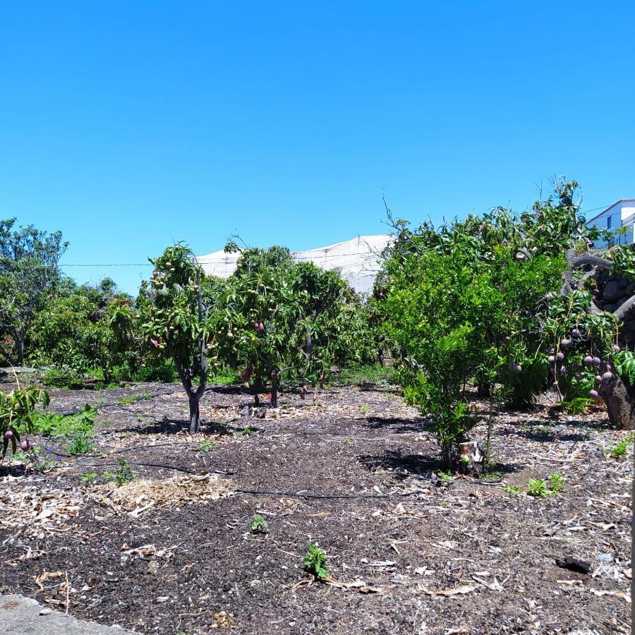 Casa Los Mangos