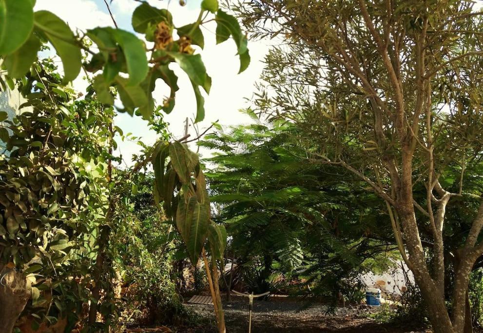 Casa Antigua En El Centro De Fuerteventura *