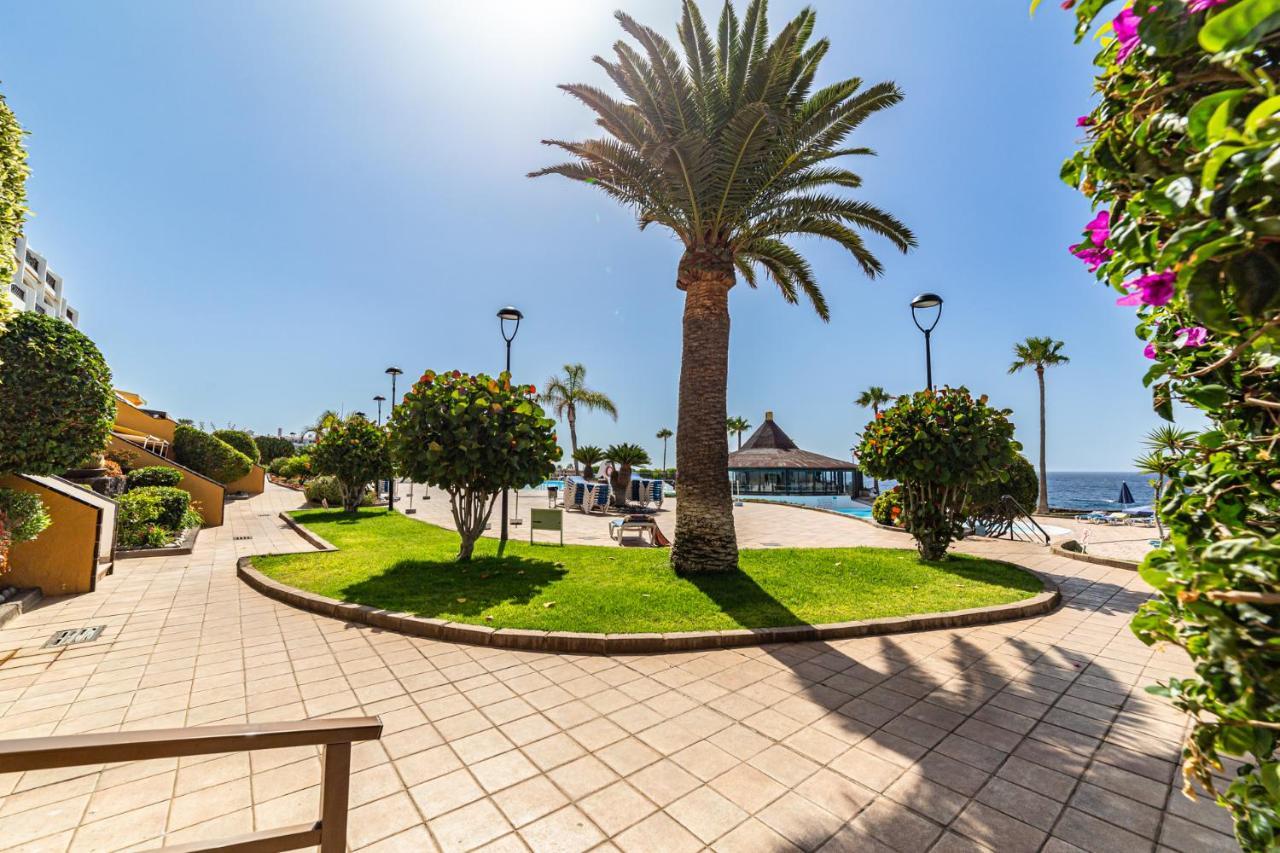 Perla Marina En Rocas Del Mar * Arona (Tenerife)