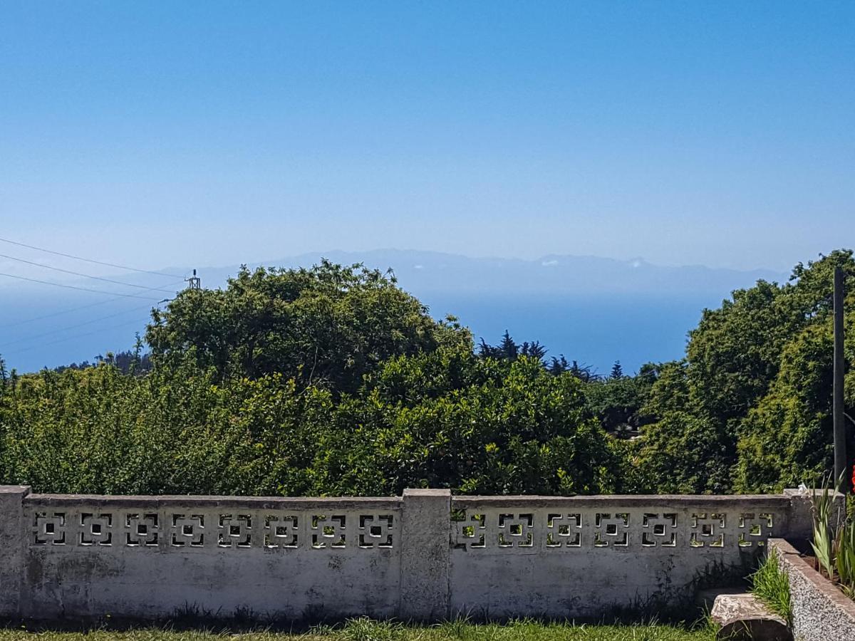 Maison Mialon: Amidst Of Nature *
