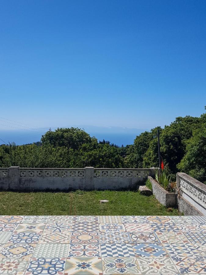 Chalet Maison Mialon: Amidst Of Nature La Esperanza (Tenerife)