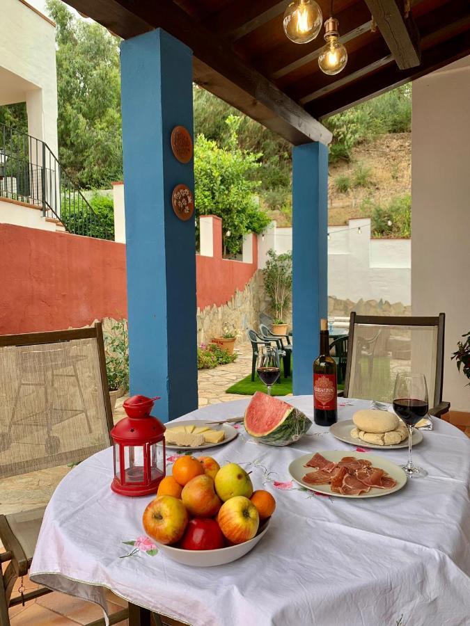 La Casa Azul Alcala *