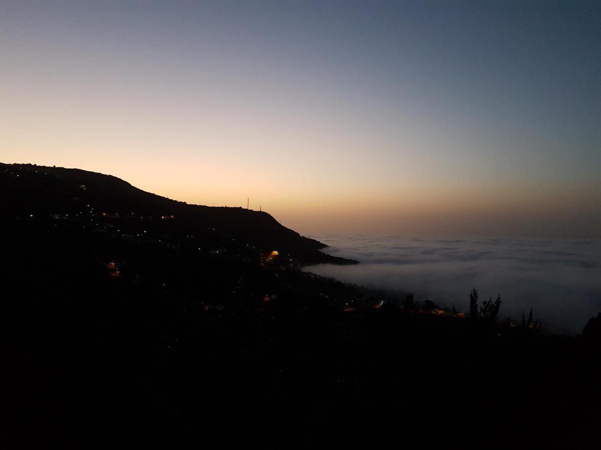 Ciruelos