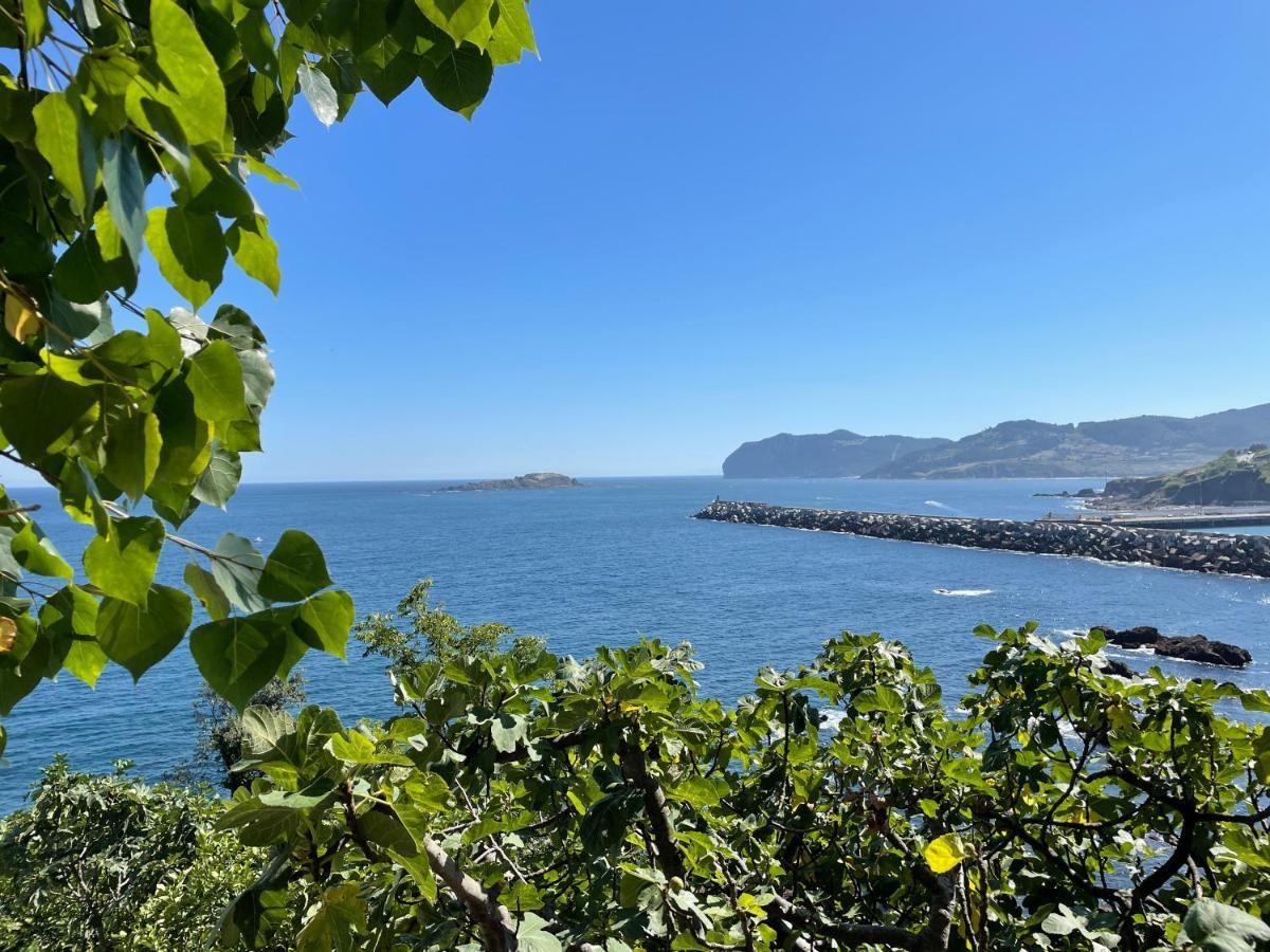 Bertoko Urdaibai Iii Bermeo