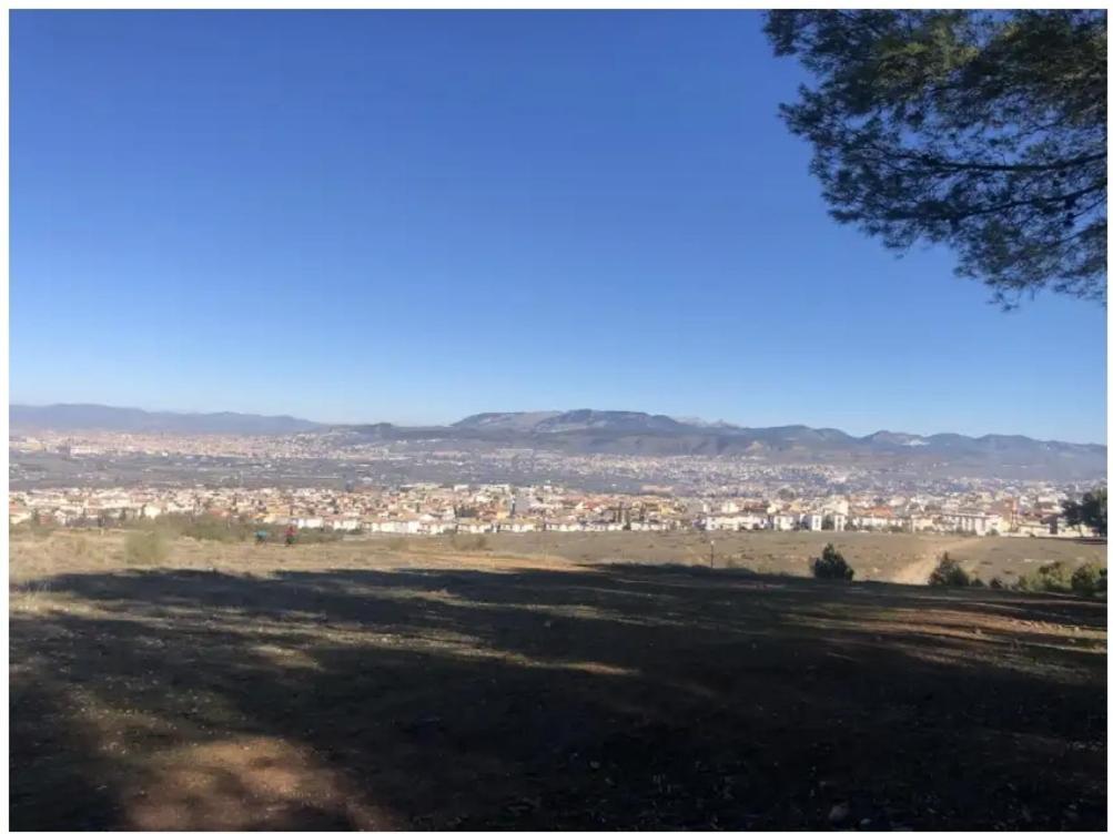 Zubicalm Apartamento *