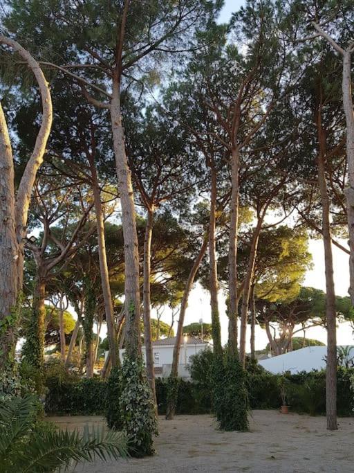 Сasa de vacaciones Enjoy Your Holidays 300m To The Mediterranean Sea At Divali *