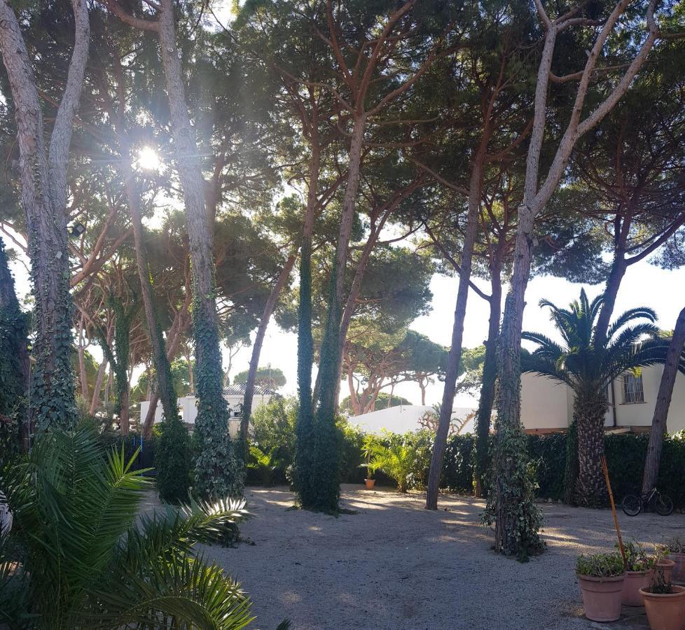 Enjoy Your Holidays 300m To The Mediterranean Sea At Divali * Castelldefels