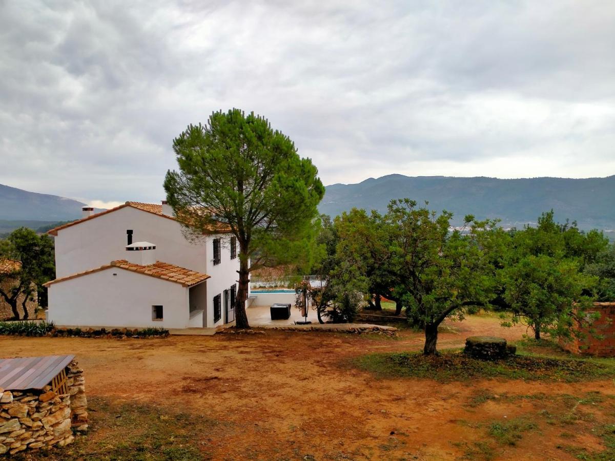 Más Del Sandungo