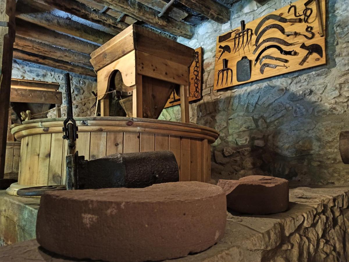 Chalet Moli De Dalt *