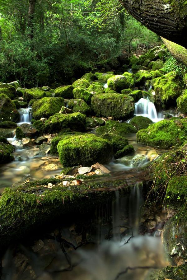 Moli De Dalt * La Coma I La Pedra